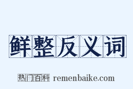 鲜整反义词是什么意思的图片